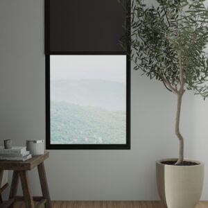 Solar Screen Shades